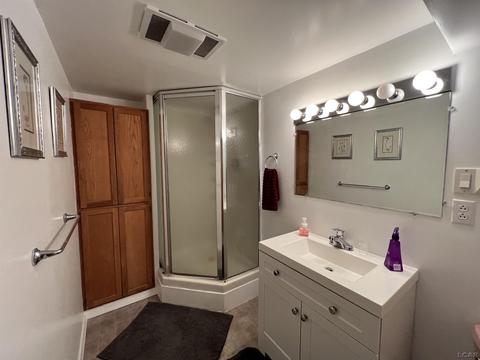 236 Renfrew Ct, Adrian, MI 49221 photo 4