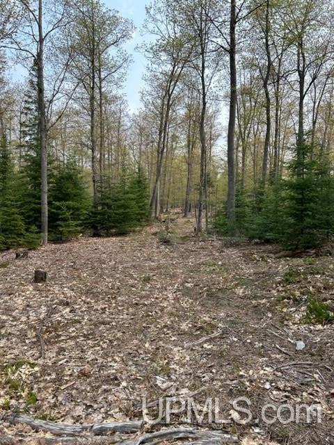 Parcel 3 Bridgeview Lane, Negaunee, MI 49866