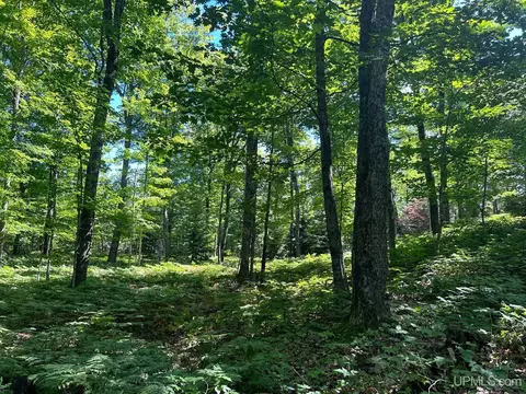 Parcel 8 Old Co Rd 510, Negaunee, MI 49866