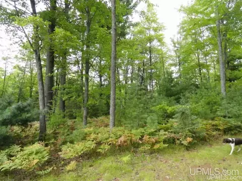 Voelker Lake, Ishpeming, MI 49849 photo 7