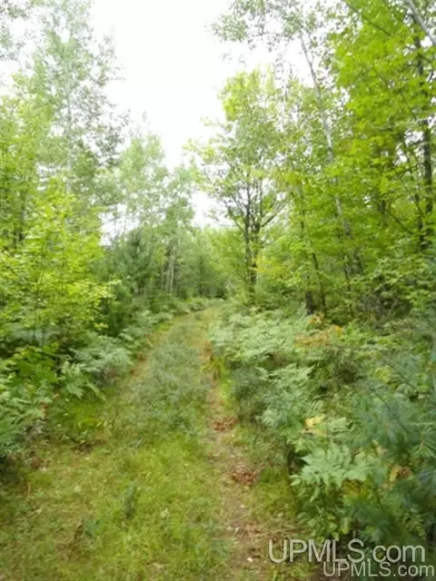 Voelker Lake, Ishpeming, MI 49849 photo 32