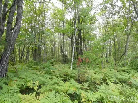 Voelker Lake, Ishpeming, MI 49849 photo 27