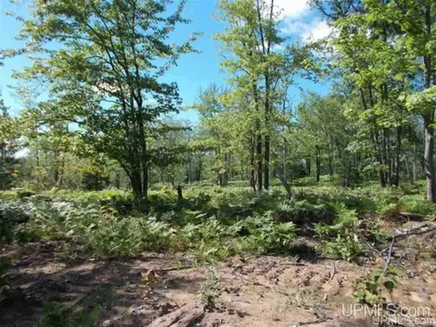 Voelker Lake, Ishpeming, MI 49849 photo 14