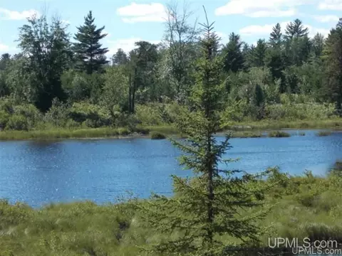 Voelker Lake, Ishpeming, MI 49849 photo 17
