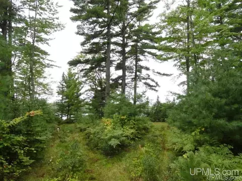 Voelker Lake, Ishpeming, MI 49849 photo 33
