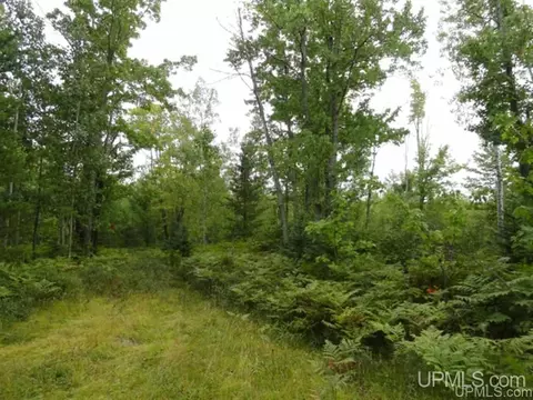 Voelker Lake, Ishpeming, MI 49849 photo 30