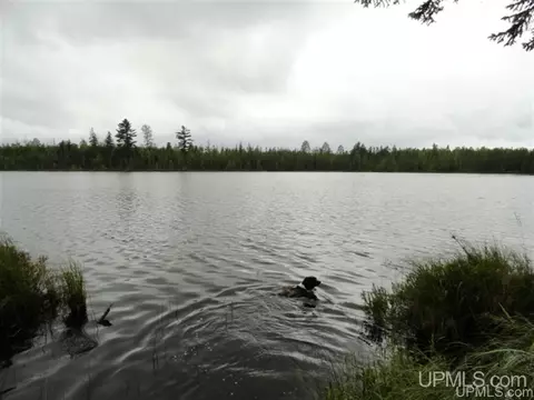 Voelker Lake, Ishpeming, MI 49849 photo 4