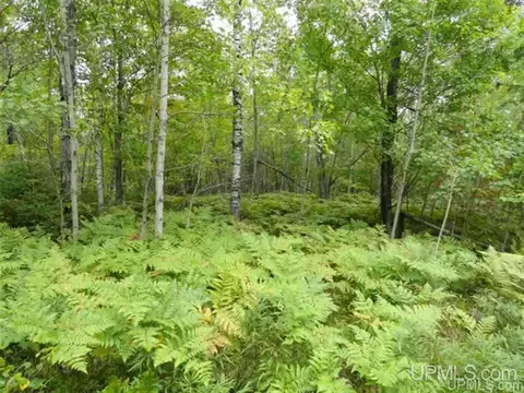 Voelker Lake, Ishpeming, MI 49849 photo 31