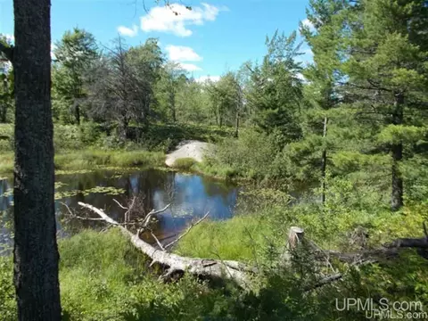 Voelker Lake, Ishpeming, MI 49849 photo 21
