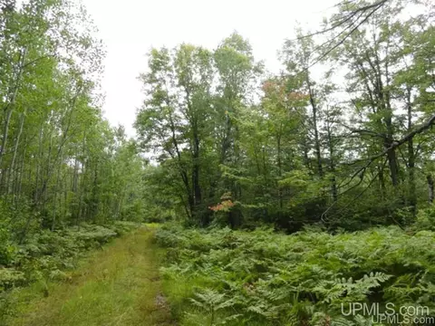 Voelker Lake, Ishpeming, MI 49849 photo 29