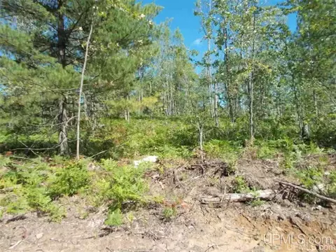 Voelker Lake, Ishpeming, MI 49849 photo 13