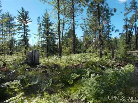 Voelker Lake, Ishpeming, MI 49849 photo 16