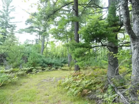Voelker Lake, Ishpeming, MI 49849 photo 8