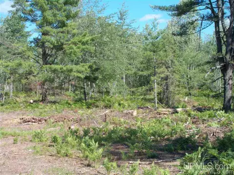Voelker Lake, Ishpeming, MI 49849 photo 18