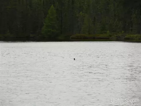 Voelker Lake, Ishpeming, MI 49849 photo 6