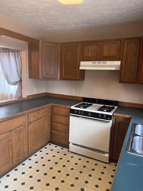 1329 Carr St, Owosso, MI 48867 photo 5