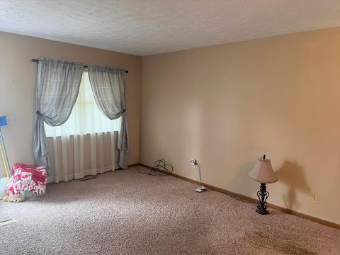 1329 Carr St, Owosso, MI 48867 photo 3