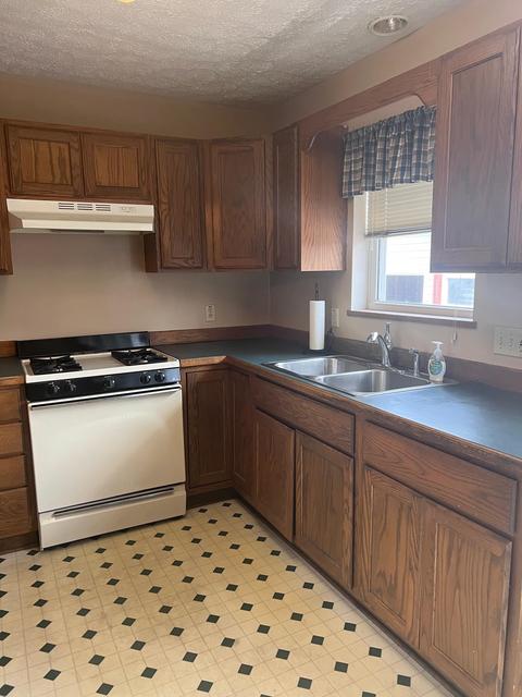 1329 Carr St, Owosso, MI 48867 photo 6