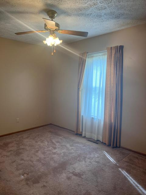 1329 Carr St, Owosso, MI 48867 photo 9