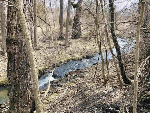 139 Brookside, Flushing, MI 48433 photo 11