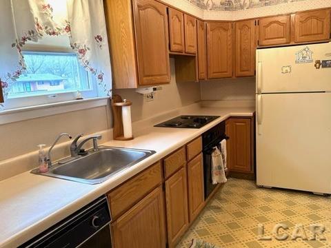 803 River Acres Dr, Tecumseh, MI 49286 photo 5
