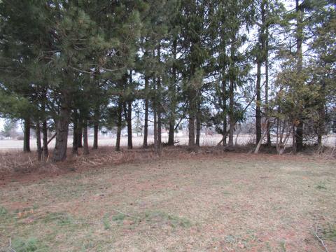 5491 Dillon Rd, Flushing, MI 48433 photo 34