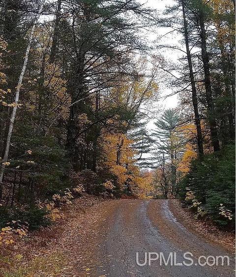Tbd County Road Aap, Champion, MI 49814