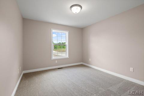 2800 Hope, Adrian, MI 49221 photo 27
