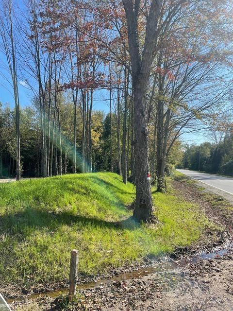 8377 Starville, Algonac, MI 48001