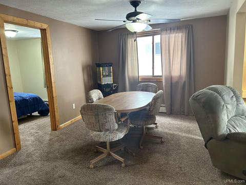 321 E Onota, Munising, MI 49862 photo 6