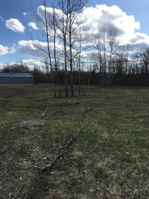 7000 Devils Lake Hwy Blk #LOT 1, Manitou Beach, MI 49253
