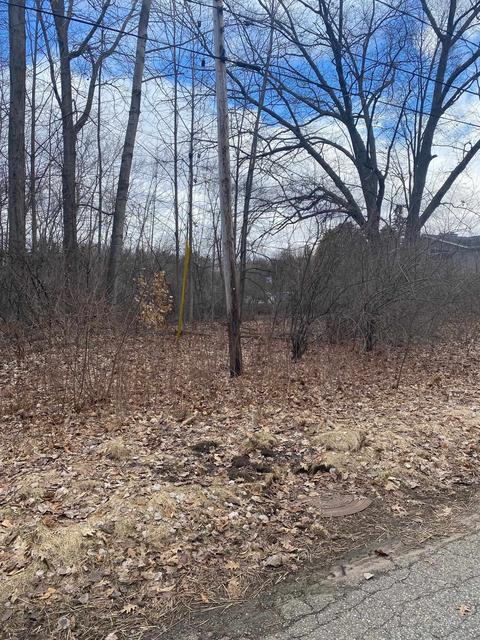 Tbd Point, Clare, MI 48617