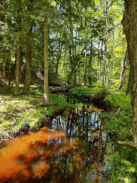 tbd Woodspur, Ontonagon, MI 49953