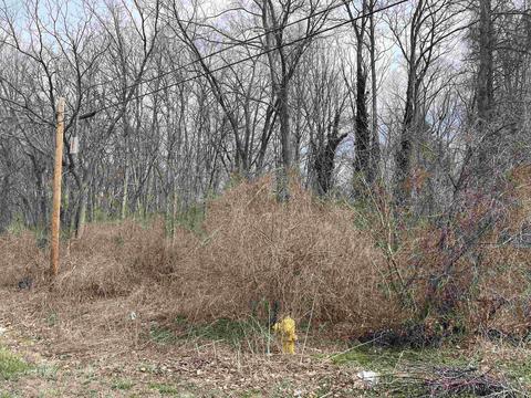 0 Fairchild, Macomb, MI 48042