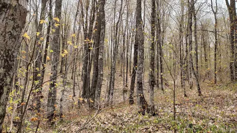 Tbd Holappa, Atlantic Mine, MI 49905