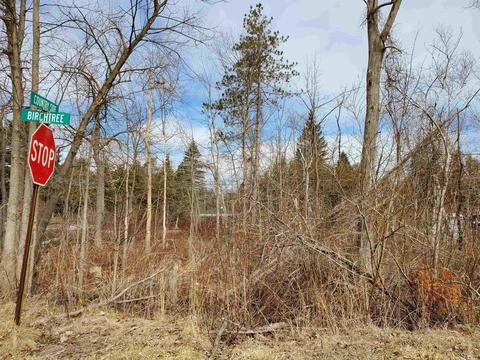 Vl Birch Tree Road, Lexington, MI 48450