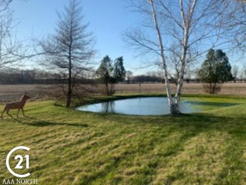 80779 Capac Rd, Armada, MI 48005 photo 4