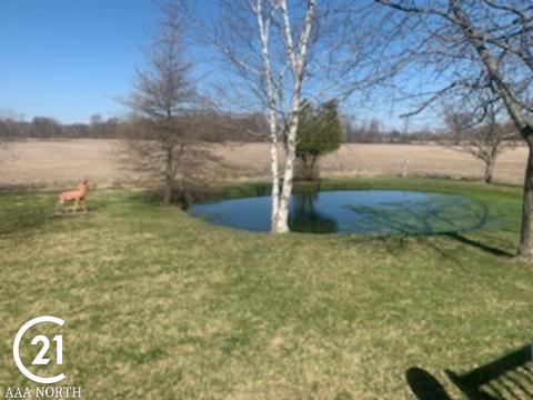 80779 Capac Rd, Armada, MI 48005 photo 25