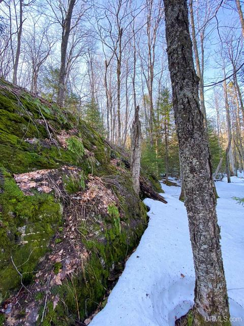 20565 Summit Rd, L'anse, MI 49946 photo 41