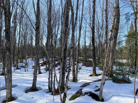 20565 Summit Rd, L'anse, MI 49946 photo 45