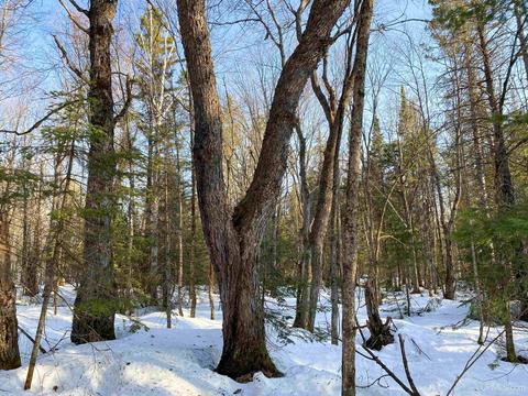 20565 Summit Rd, L'anse, MI 49946 photo 33