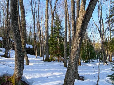 20565 Summit Rd, L'anse, MI 49946 photo 39