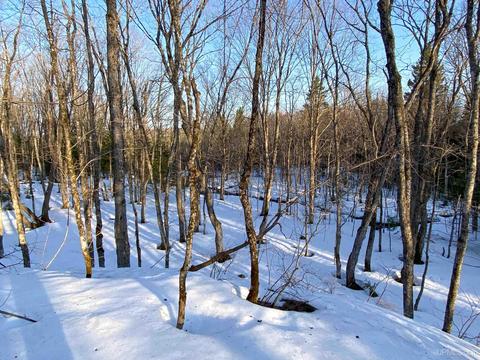 20565 Summit Rd, L'anse, MI 49946 photo 29