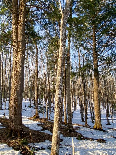20565 Summit Rd, L'anse, MI 49946 photo 37