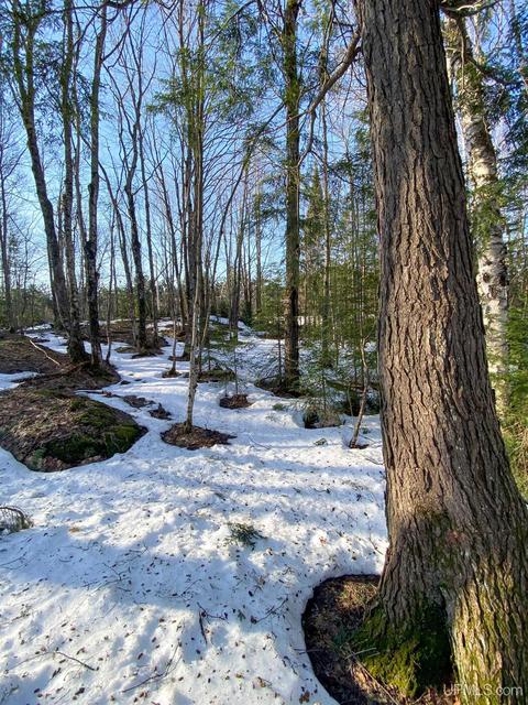 20565 Summit Rd, L'anse, MI 49946 photo 44