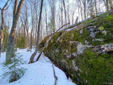 20565 Summit Rd, L'anse, MI 49946 photo 40