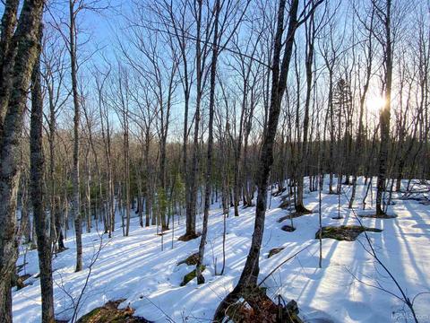 20565 Summit Rd, L'anse, MI 49946 photo 30