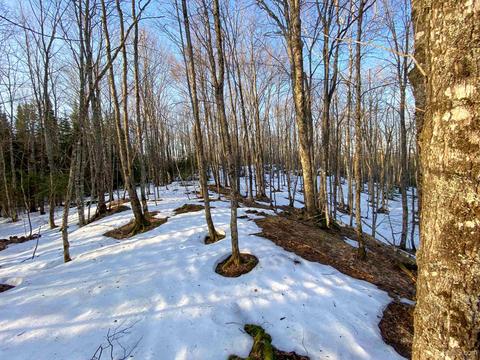 20565 Summit Rd, L'anse, MI 49946 photo 31