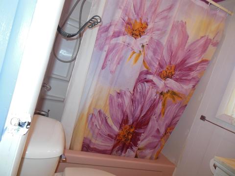711 N Grant Ave, Harrison, MI 48625 photo 21
