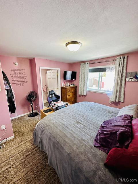 235 Marble, Ishpeming, MI 49849 photo 11